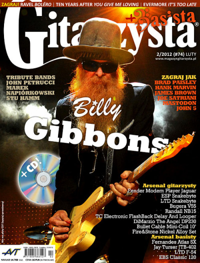 Gitarzysta