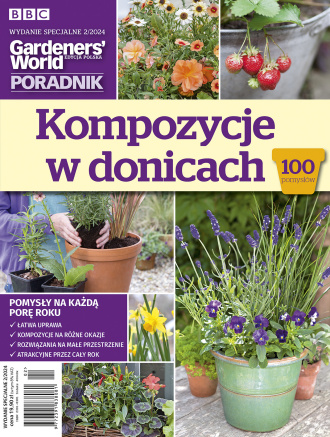 Kompozycje w Donicach