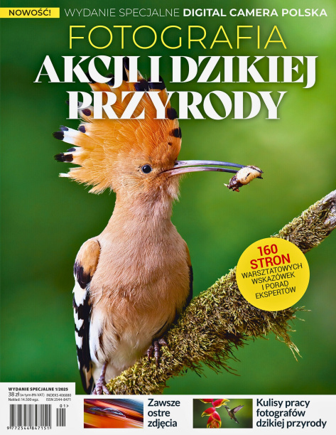Fotografia Akcji i Dzikiej Przyrody