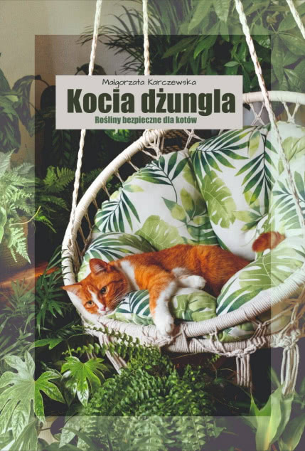 Kocia Dżungla. Rośliny Bezpieczne Dla Kotów