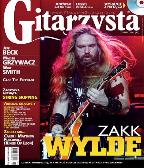 Gitarzysta