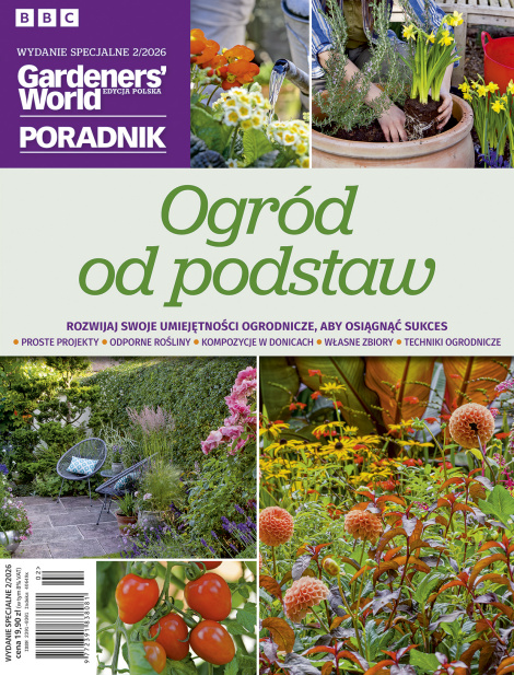 Ogród od podstaw