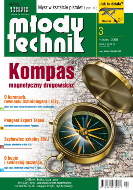 Młody Technik