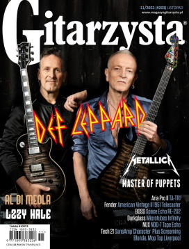 Gitarzysta