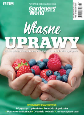 Własne Uprawy