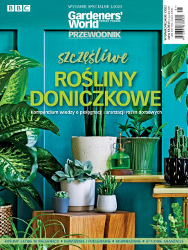 Rośliny Doniczkowe