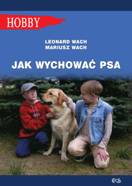 Jak Wychować Psa