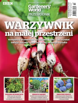 Warzywnik Na Małej Przestrzeni