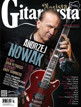 Gitarzysta