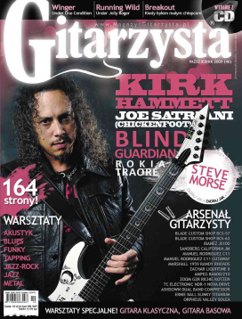 Gitarzysta