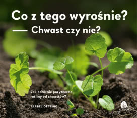 Co z Tego Wyrośnie